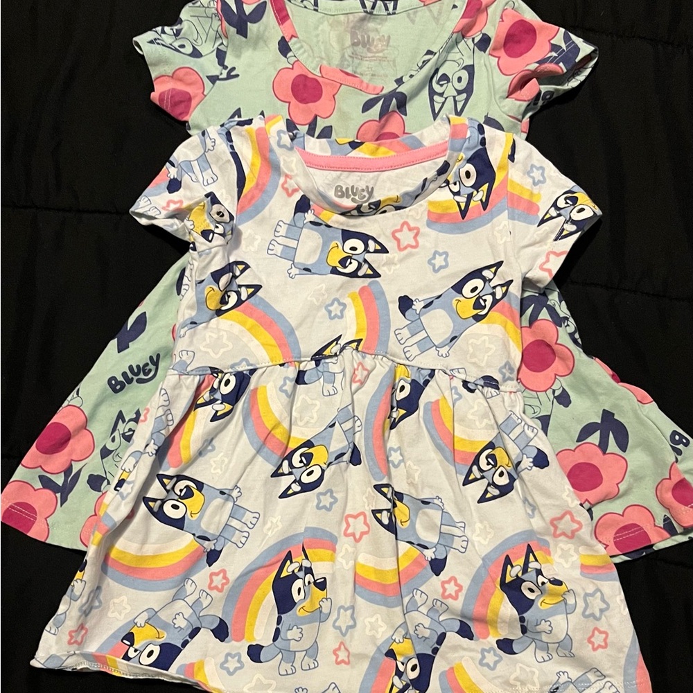 Kids Bluey Dress Set - Blue and Pink